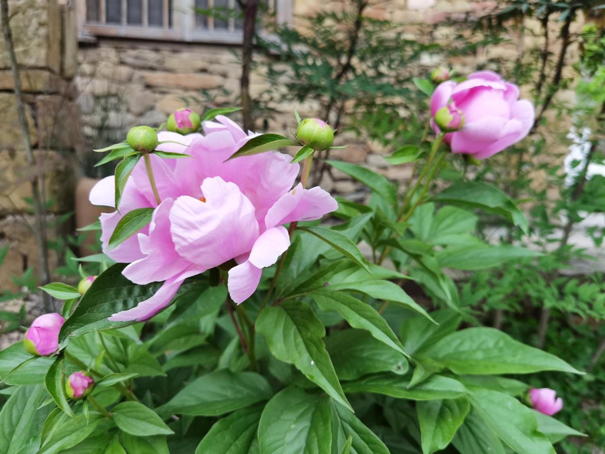 ז'אנגג'יאג'י Dayong Antique Feature Resort מראה חיצוני תמונה